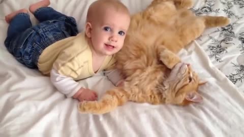 Cats meeting babies for the furst time 🤩