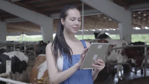 Portrait of young pretty female worker on the cow farm checking working process,