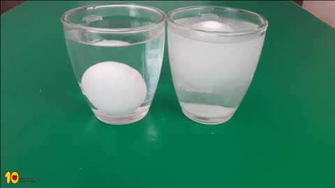 Floating Egg Experiment