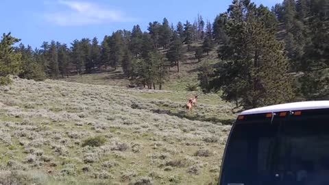 Rocky Mountain National Park Colorado