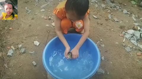 baby training for smart ducks