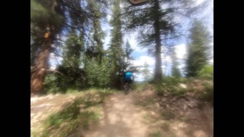 Downhill Biking – MT Biking - Crested Butte – Dirty lens of Frequency Twisted Tree – 08-17-2024