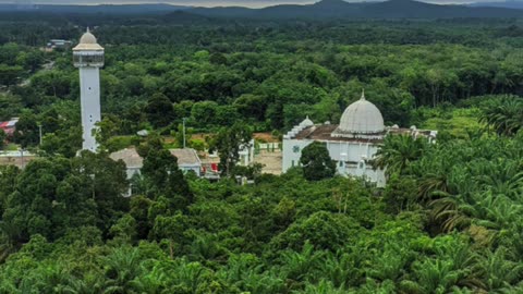 green view from the hill