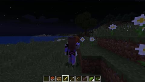 Minecraft 1.17.1_ Modded_Shorts_Outting_64