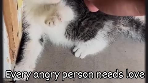 Every angry person needs love!.mp4