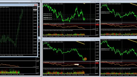 June 14th USD, Crypto