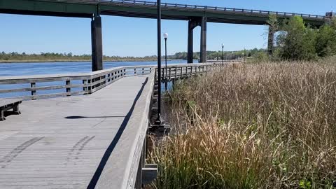 Georgia on my mind. "The Satilla River"