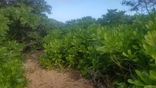 Some beach somewhere