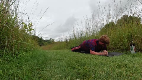 Planks for Progress: (Day 15) Improving Core Strength [Garbage 'Paranoid'][No shoes PR]