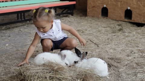 Cute little girl feeding rabbit from the hand