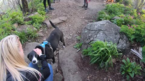 Sharp Top Hike on Blue Ridge Parkway - Roanoke, VA - May 2021