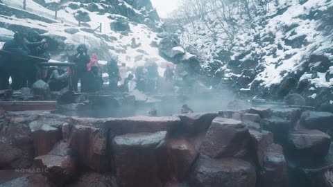 "Rainy Stroll in Japan's Snow Monkey Park – Relaxing Rain Sounds for Sleep"