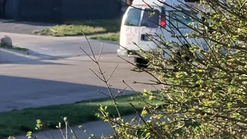 Ice Cream Truck, Dearborn, Michigan, 4/15/24