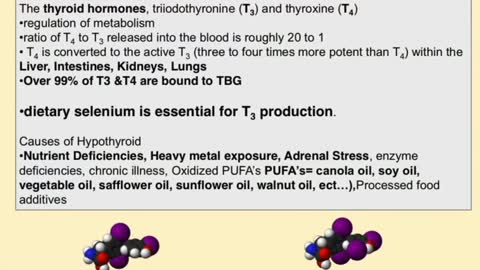 Adrenals & Stress w/Dr. John Bergman DC