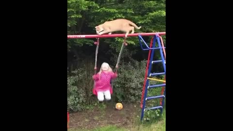 New Funny Animals 😂 Funniest Cats and Dogs Videos