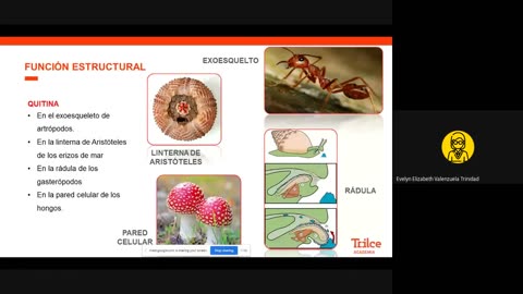 TRILCE SEMESTRAL 2021 | SEMANA 02 | BIOLOGÍA: BIOQUÍMICA II