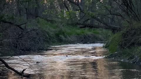 sun setting on a creek