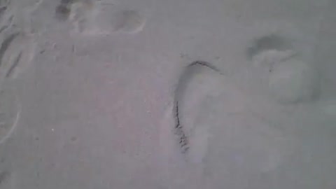 Stepping on the sand of the sea, many people passed by there [Nature & Animals]