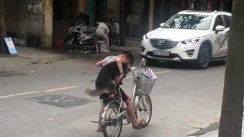 A Boy, A Dog and a Bike