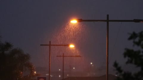 The rain under the streetlights is dyed golden and constantly falls like a falling waterfall