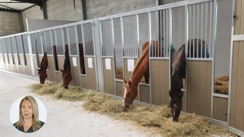 TESLA ELECTROCHEM NEXT GENERATION AIR PURIFICATION FOR THE HORSE INDUSTRY