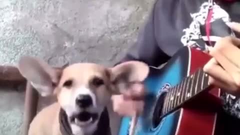 Dog singing with owner