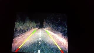 Bigfoot Chases Car in Colorado Send In