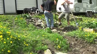 Landscaping stairs for steep hill.