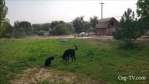 Graham Family Farm: Wind