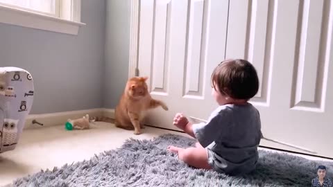 cat parenting baby