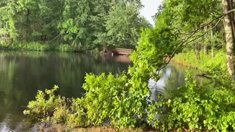 Peaceful lake after massive downpour