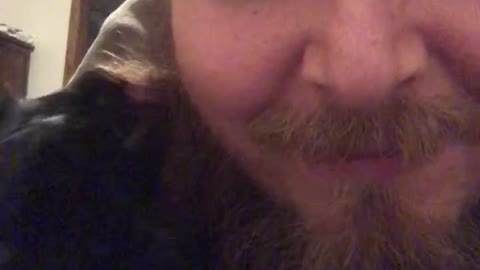 Kitten Washing My Beard