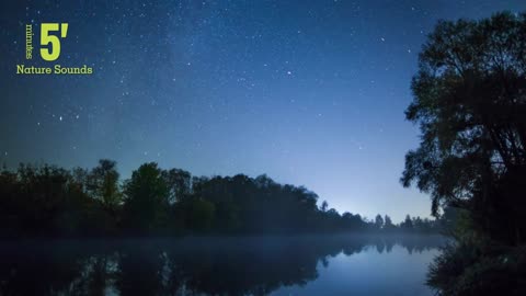 NIGHT CRICKETS SOUND AMBIANCE FOR DEEP SLEEP