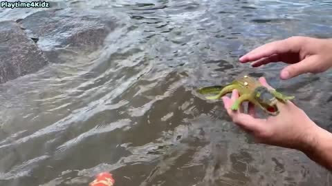 Juguetes de animales marinos este verano en la orilla Duración