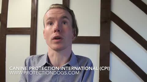 Life-Changing Protection How a CPI Dog Can Transform One’s Life