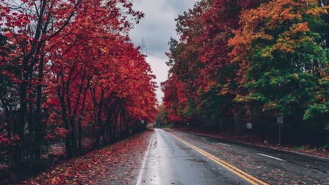 Rainfall Perfect for being with Yourself