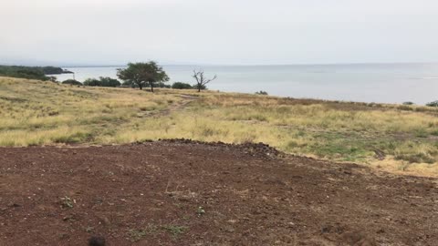 Tour Shark Temple Big Island Hawaii - Pu'ukohola Heiau National Historic Site