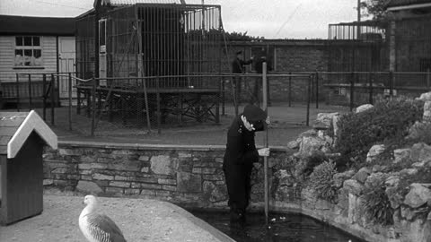 The Quatermass Experiment 1955 Hammer Films.