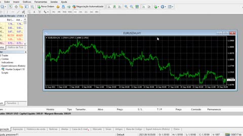 Free Robot Hunter Scalper 1.10 - Forex