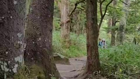 A walk in nature, Kamikochi, Nagano