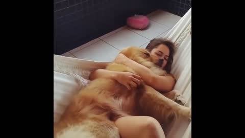 Golden Retriever snuggles with owner on hammock