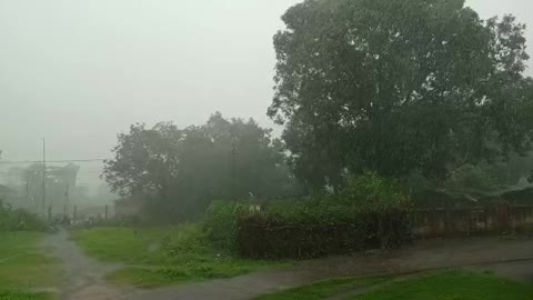 Raining in my village (sound of rain)