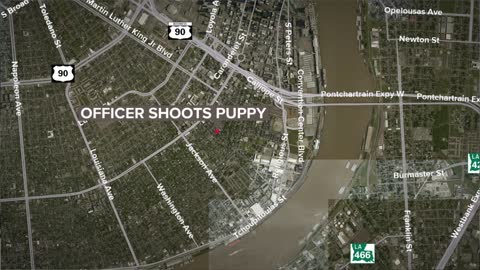 New Orleans police shot a puppy to death and people want to know why