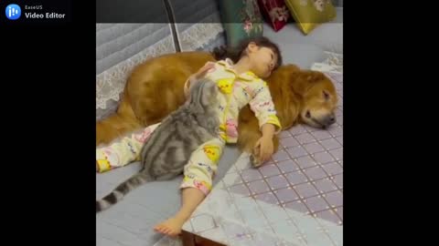 DOG WATCHING THE BABY AND THE CAT MAKE SURE THEY SLEEP.mp4