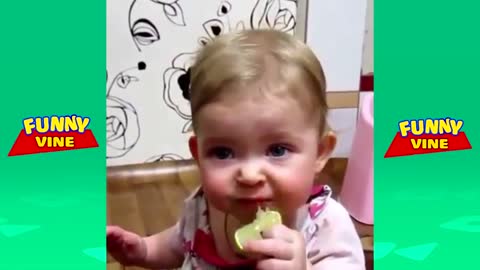 Babies Eating Lemons for The First Time /funny videos