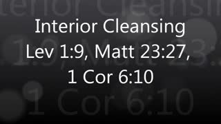 Interior Cleansing The Leviticus Way