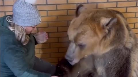 Bear Eating Food