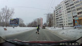 Cute Canine Gets Some Help Crossing