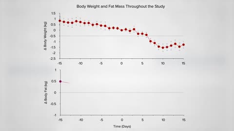 Keto Diet Theory - Test