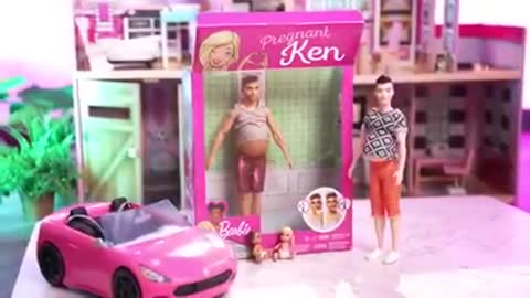 Barbie Ken is gay and pregnant